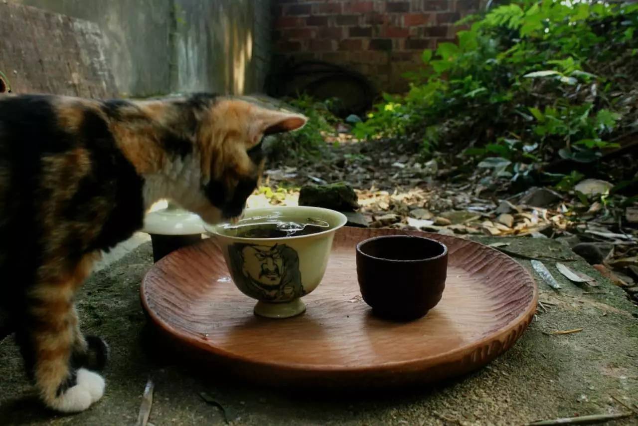 荒無舍民宿，山腳下日出而作日落而息
