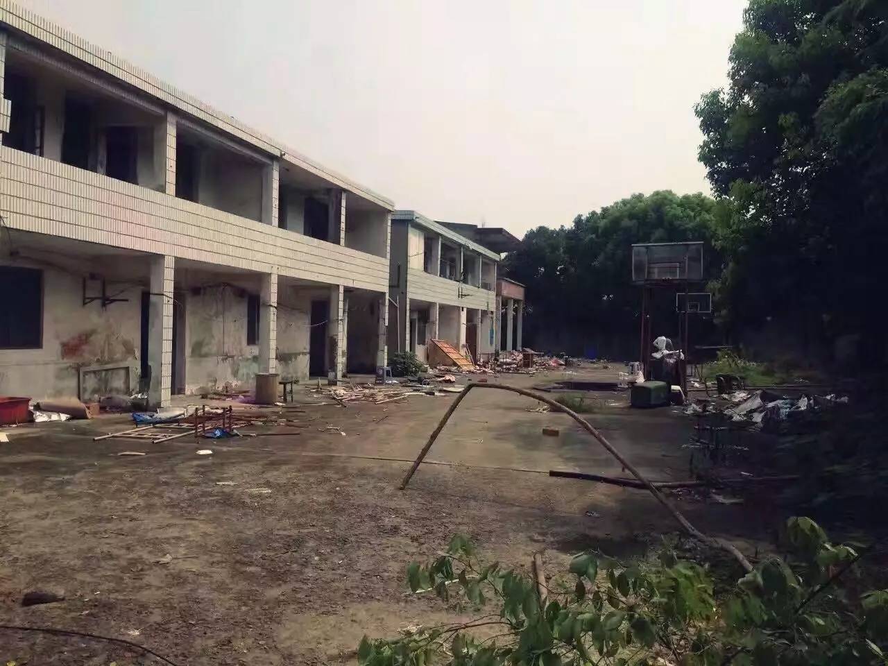 上海四舍，遠(yuǎn)離城市溫暖自由靈魂的世外江湖