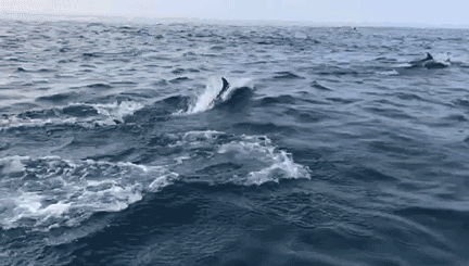 悠居·三朝舍民宿，帶你吃喝玩轉(zhuǎn)南澳島