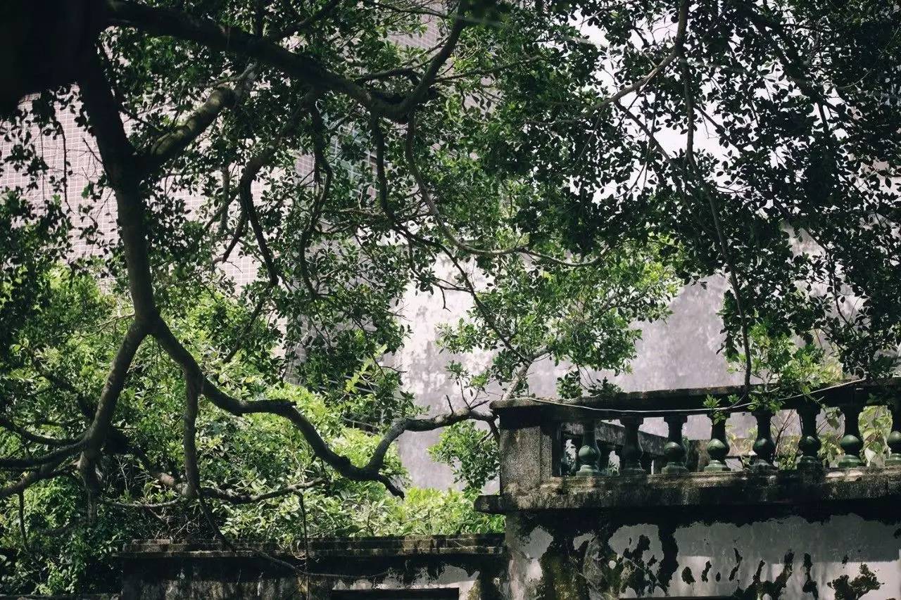 悠居·三朝舍民宿，帶你吃喝玩轉(zhuǎn)南澳島