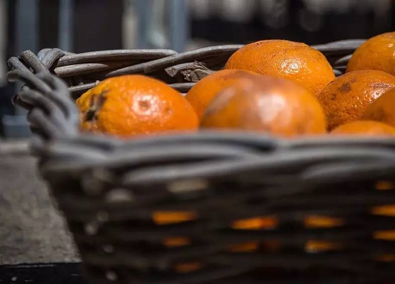 蘇東坡最能吃，舌尖上的中國美食