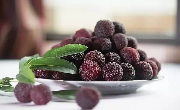 蘇東坡最能吃，舌尖上的中國美食