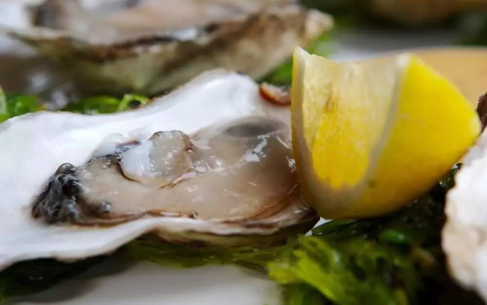 蘇東坡最能吃，舌尖上的中國美食