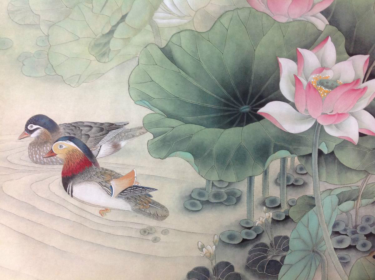 國(guó)畫(huà)荷花，鴛鴦戲水