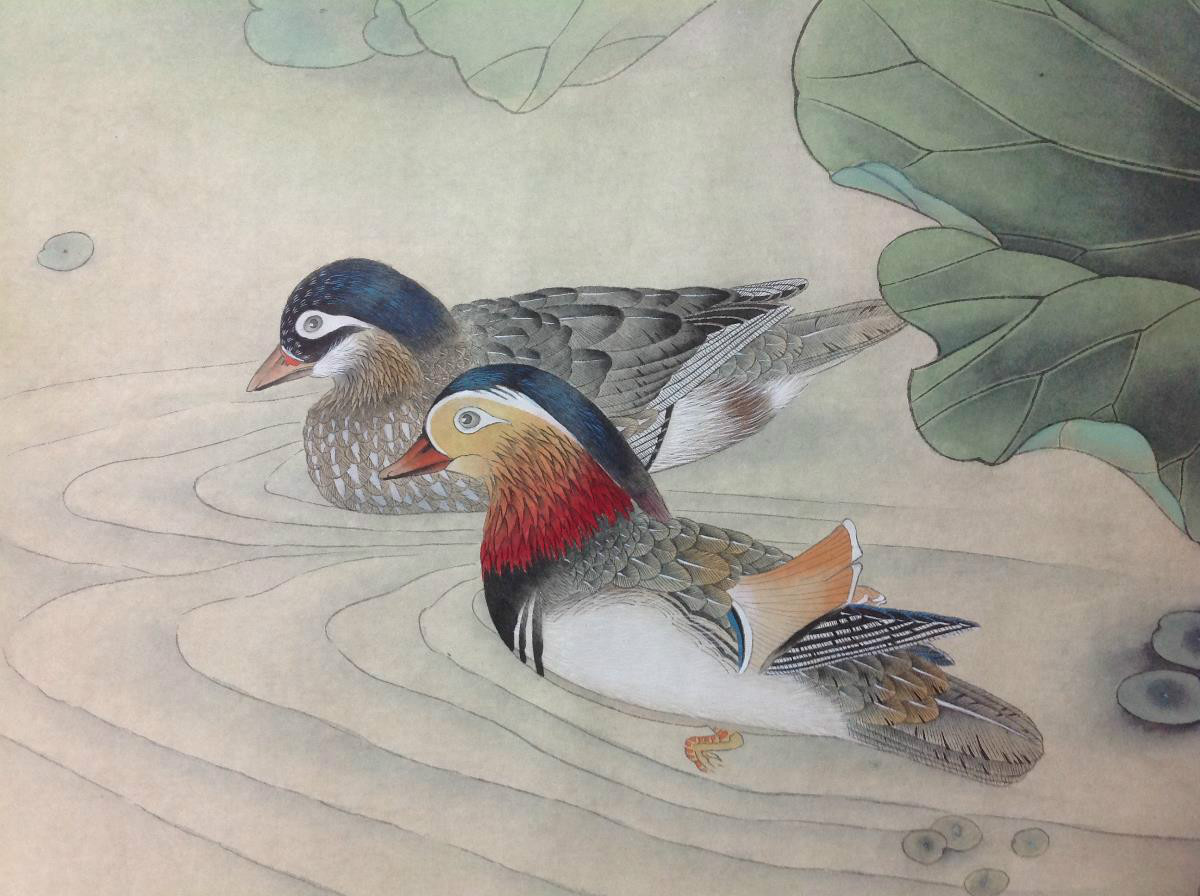 國(guó)畫(huà)荷花，鴛鴦戲水