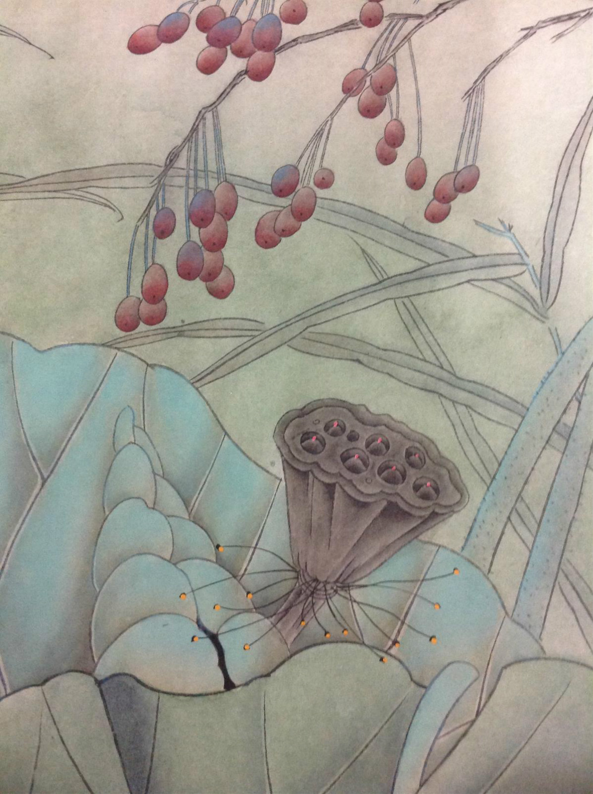 國(guó)畫(huà)荷花，鴛鴦戲水