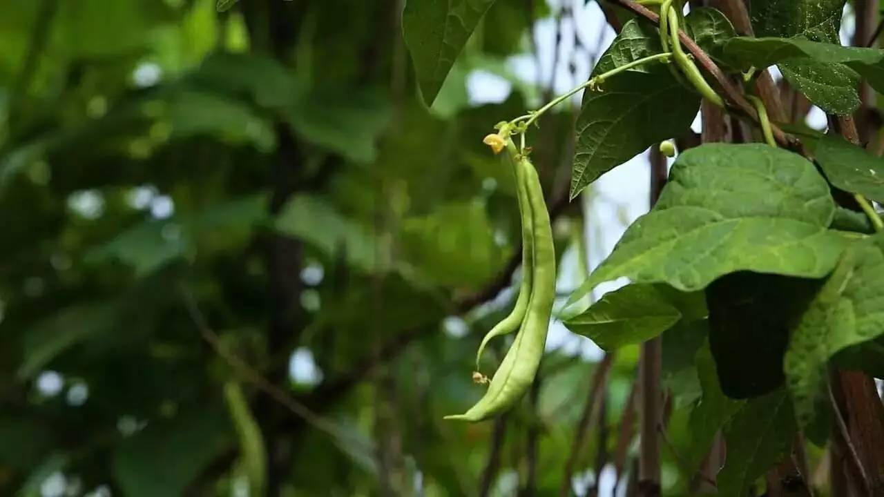 北京延慶畫框里，置身一幅山水長卷妙不可言