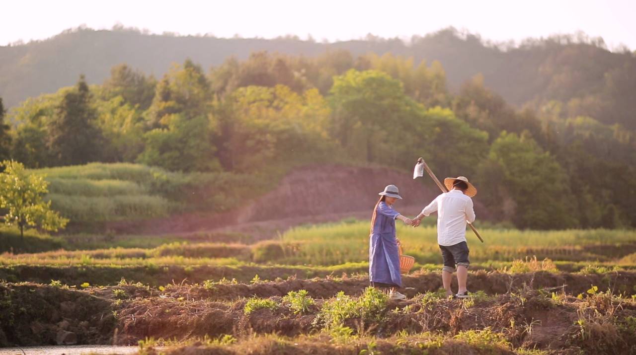 新安江畔谷掌民宿，莊園里享受青山環(huán)繞的美景
