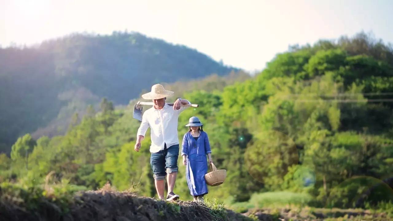 新安江畔谷掌民宿，莊園里享受青山環(huán)繞的美景