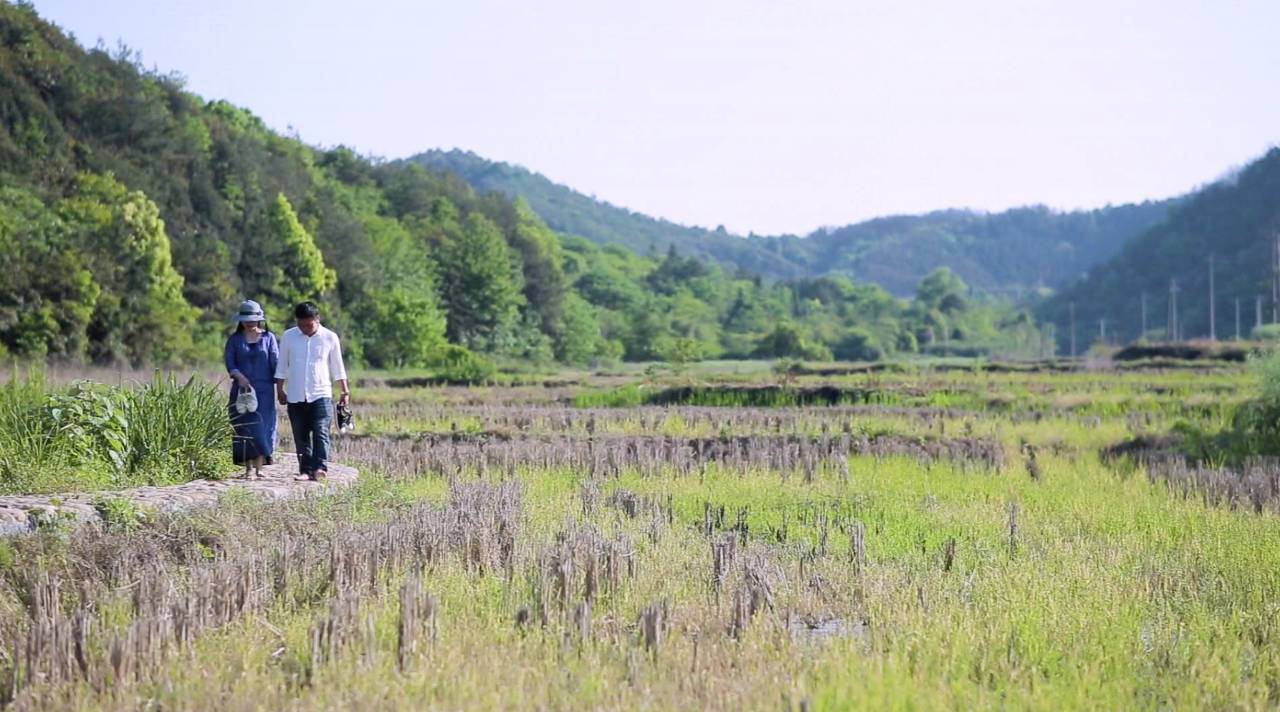 新安江畔谷掌民宿，莊園里享受青山環(huán)繞的美景