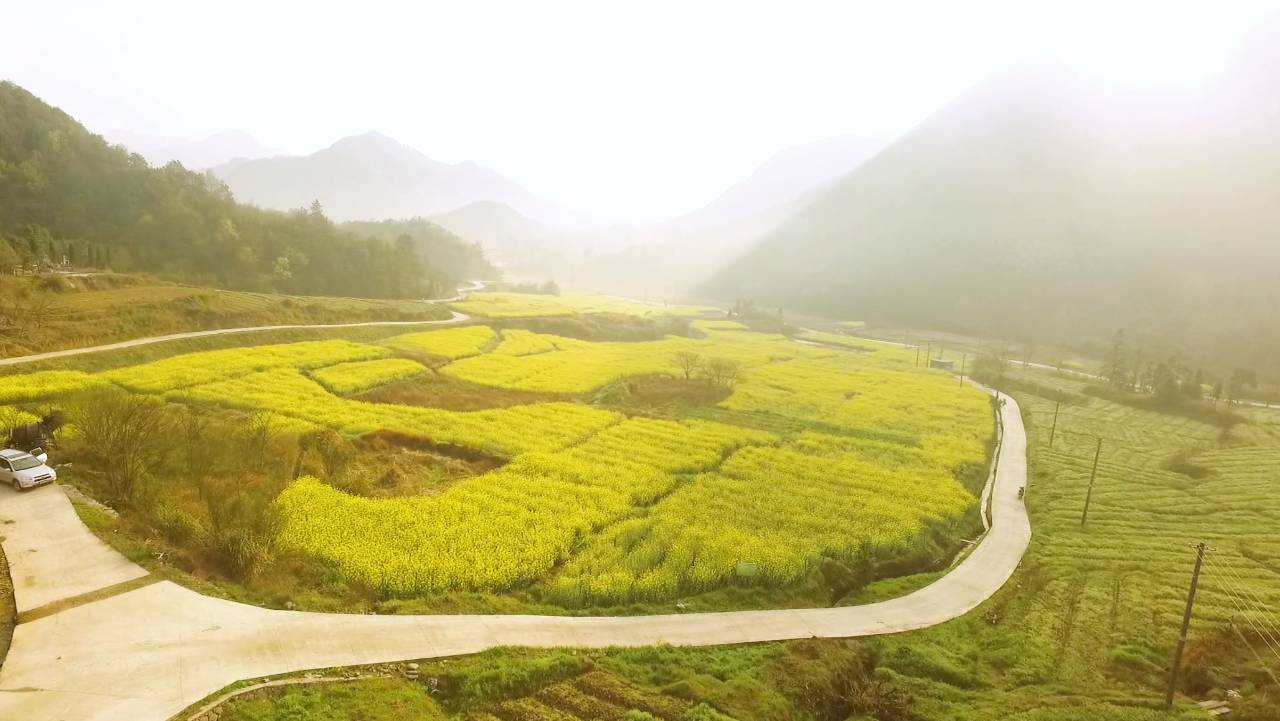 新安江畔谷掌民宿，莊園里享受青山環(huán)繞的美景