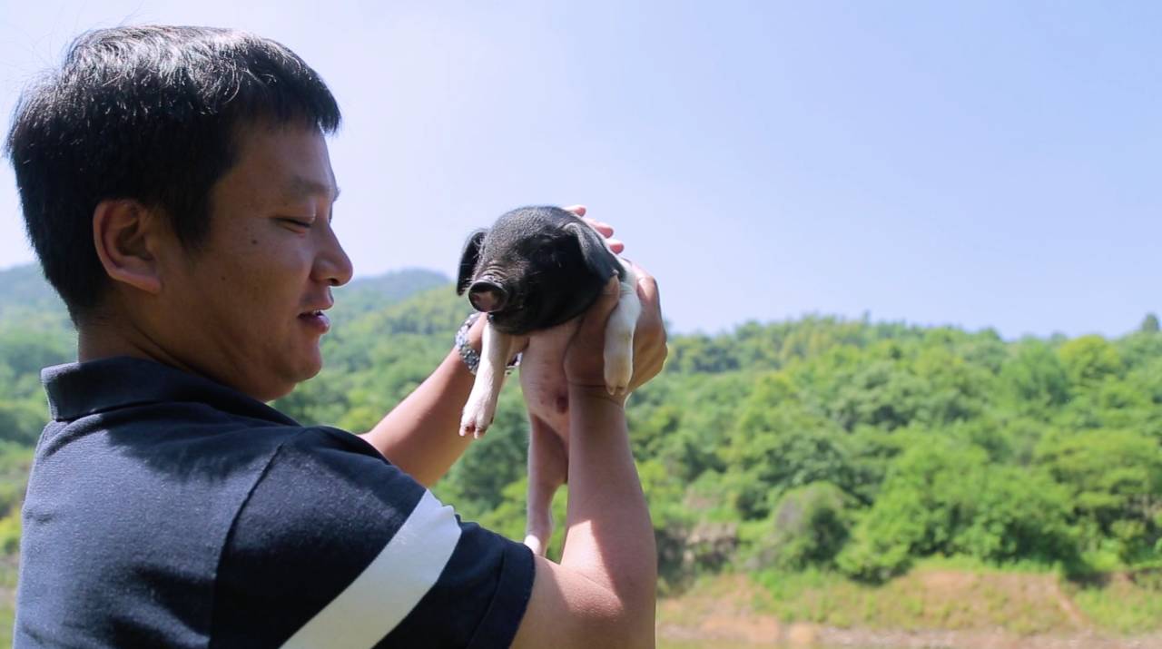 新安江畔谷掌民宿，莊園里享受青山環(huán)繞的美景