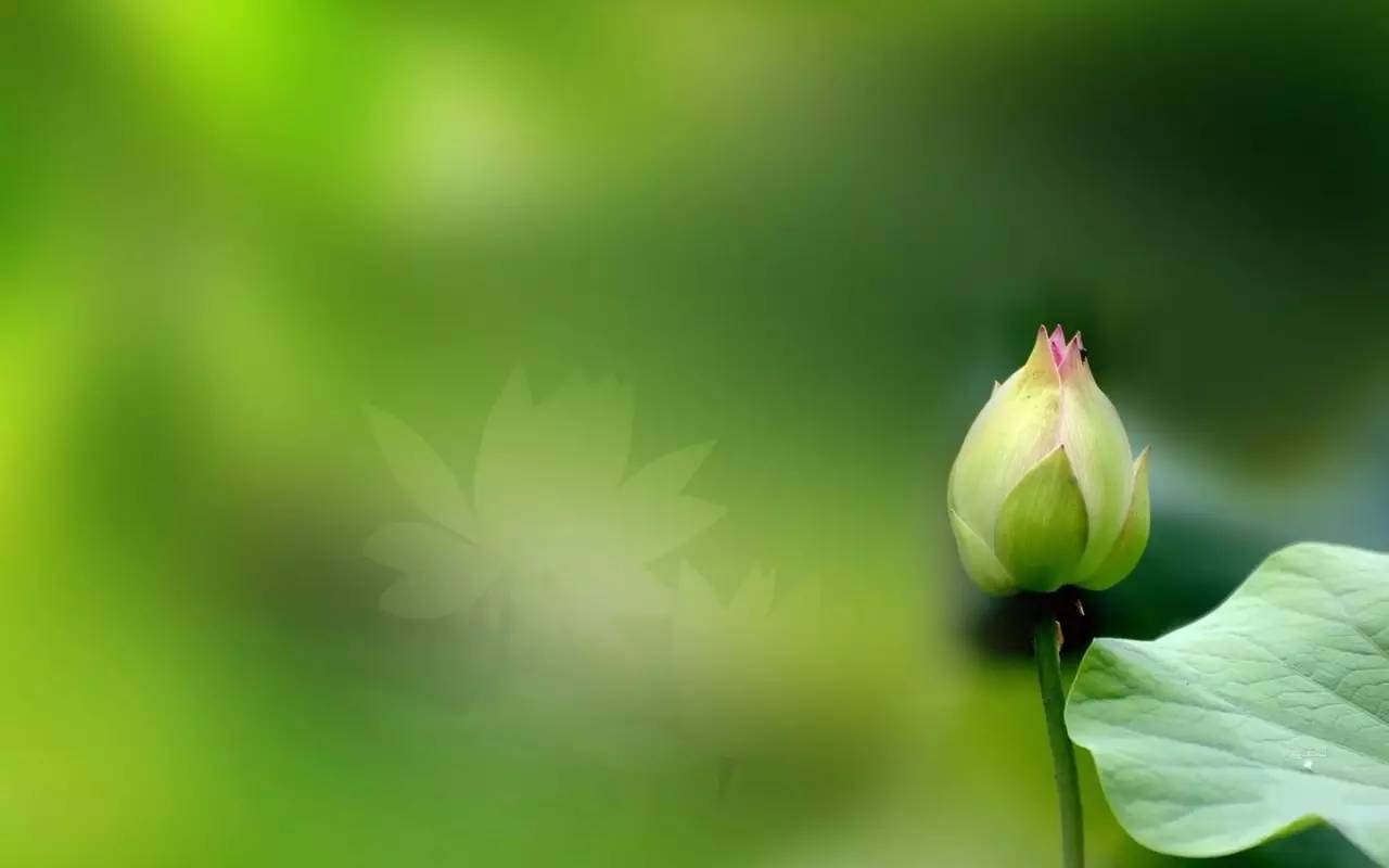 古風(fēng)句子《命運(yùn)賦》，百讀不厭成就千古經(jīng)典