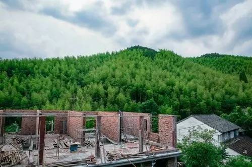 客堂間莫干山民宿，隱居深山聆聽自然