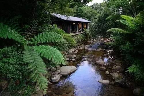 客堂間莫干山民宿，隱居深山聆聽自然