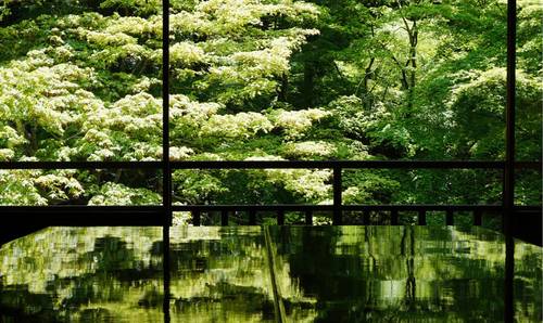 客堂間莫干山民宿，隱居深山聆聽(tīng)自然