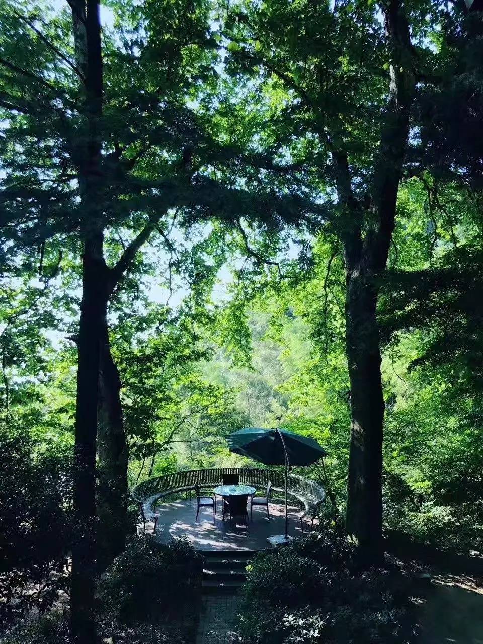 忘山別墅莫干山民宿，一棟百年歷史的民國(guó)別墅