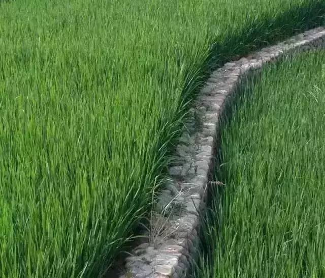 九華山德懋堂，九華山間打坐冥想清涼入心