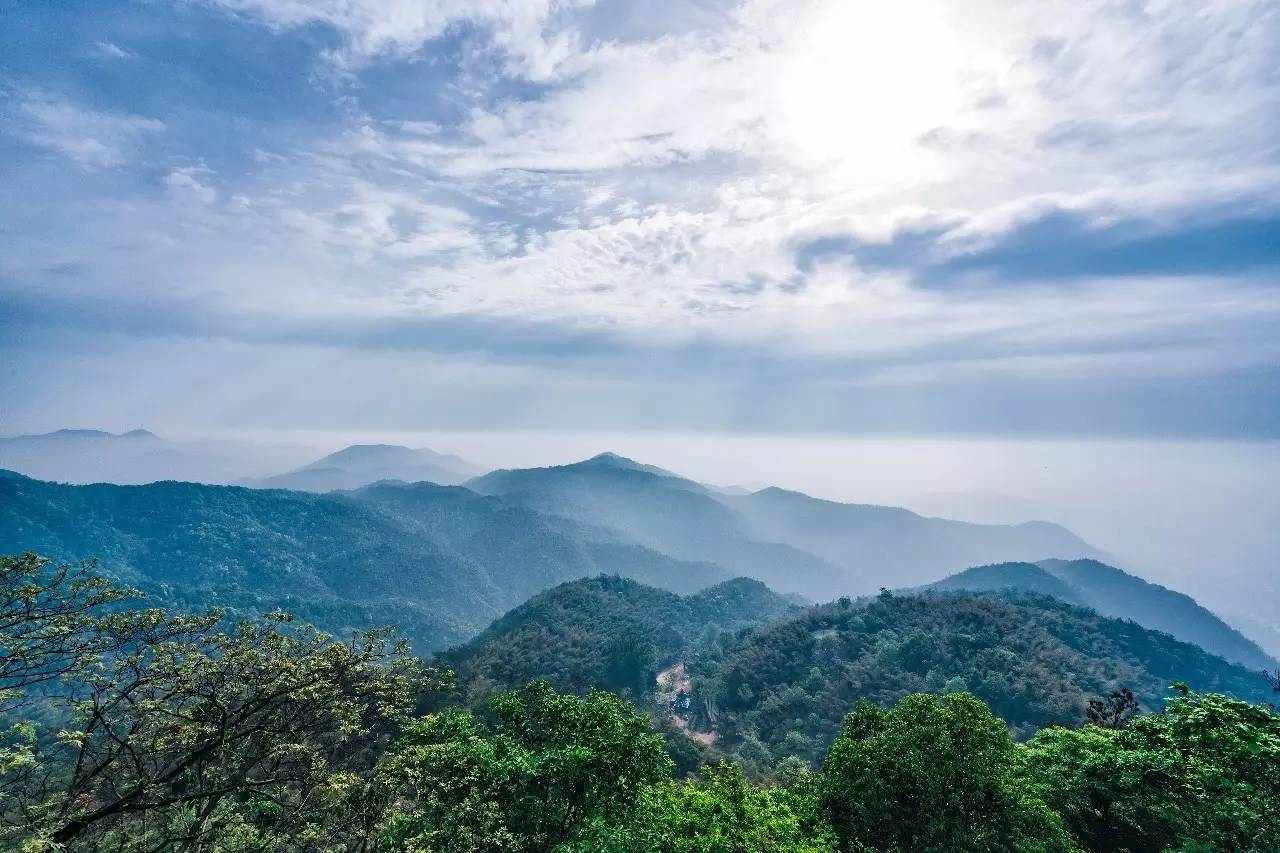 杭州山舍民宿，喝一壺茶聞桂花十里飄香