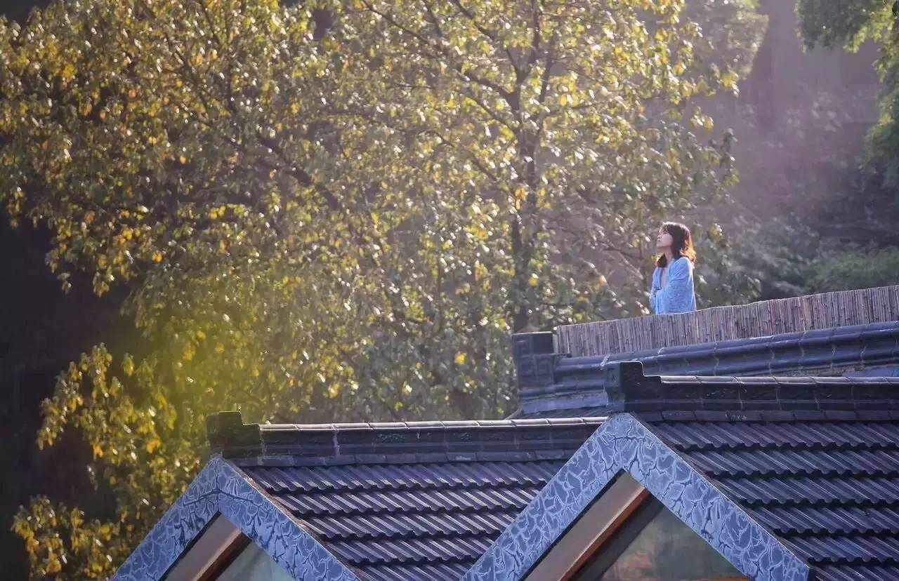 杭州山舍民宿，喝一壺茶聞桂花十里飄香