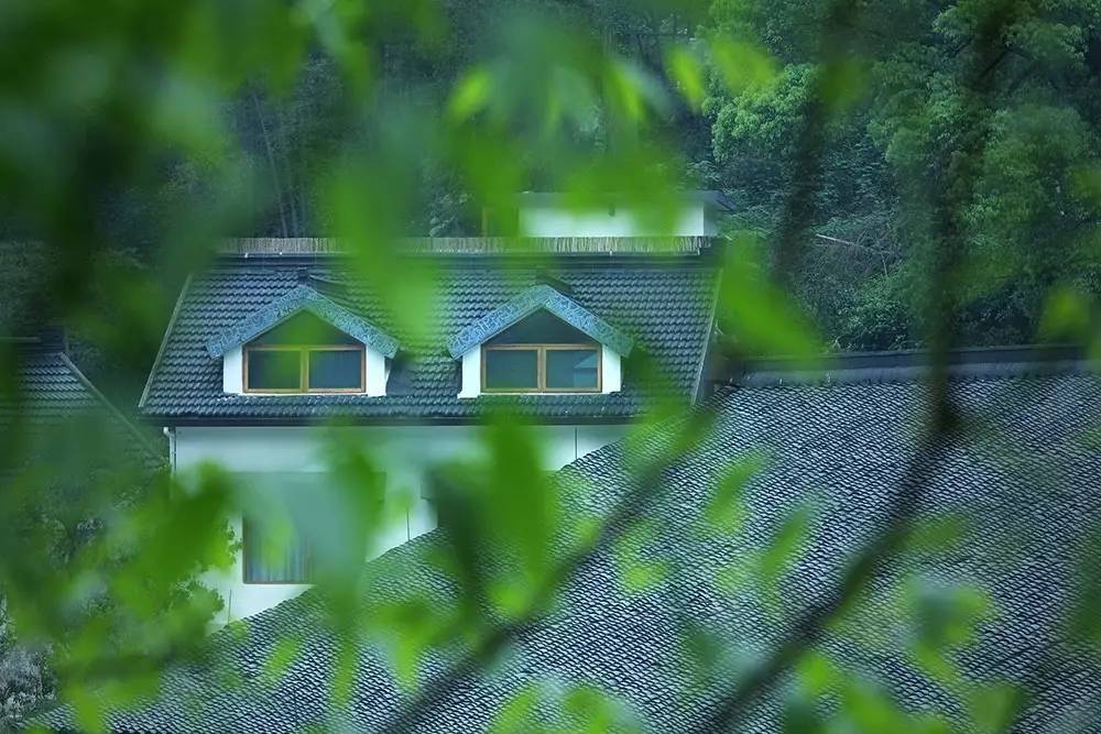 杭州山舍民宿，喝一壺茶聞桂花十里飄香