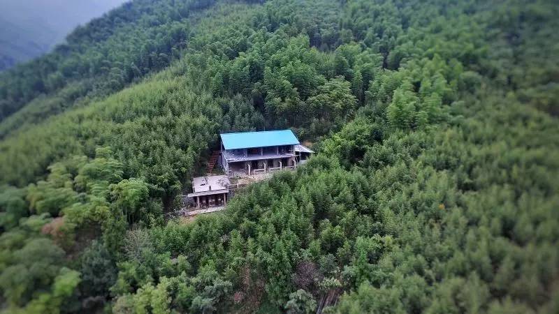 杭州山舍民宿，喝一壺茶聞桂花十里飄香