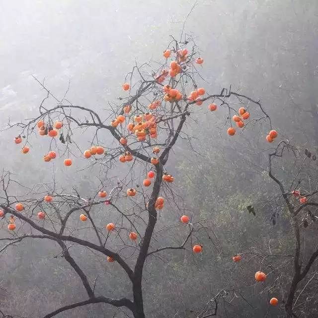 北京姥姥家民宿，聽故事感受自在的心靈時(shí)光