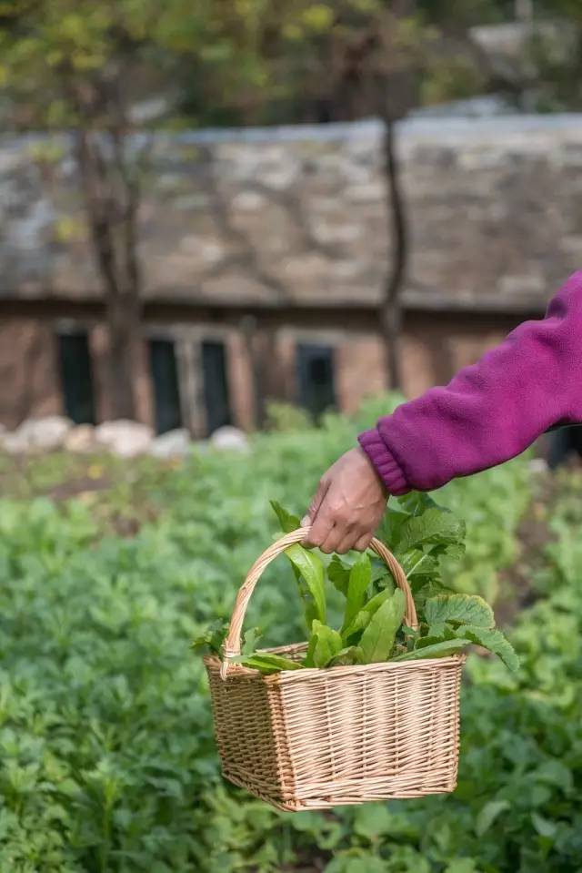 北京姥姥家民宿，聽故事感受自在的心靈時光