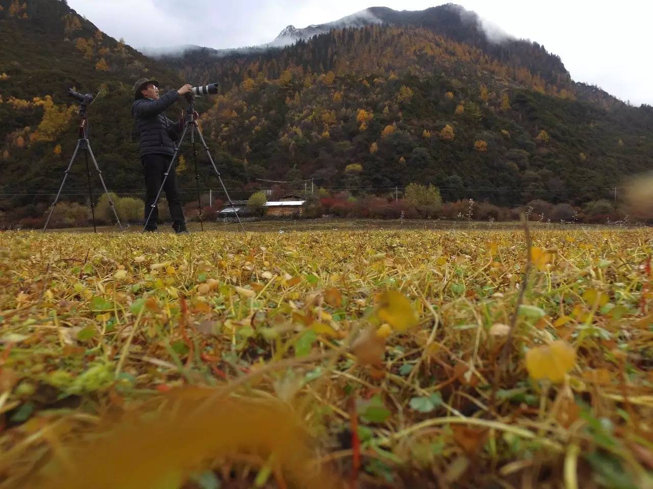 拉薩曲吉林卡，在世界之顛的圣城感受藏族文化