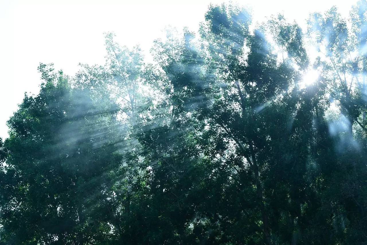 松贊拉薩曲吉林卡，用松贊的方式重走拉薩