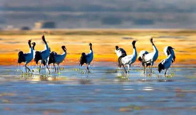 松贊拉薩曲吉林卡，用松贊的方式重走拉薩