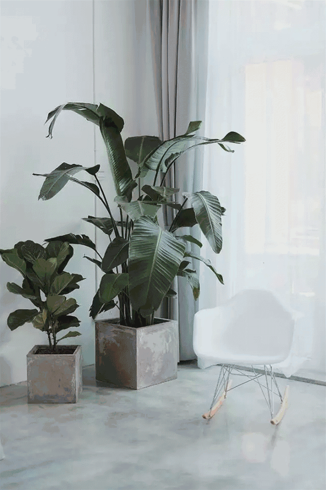 杭州一緒民宿，用鏡頭感受世間一切美好