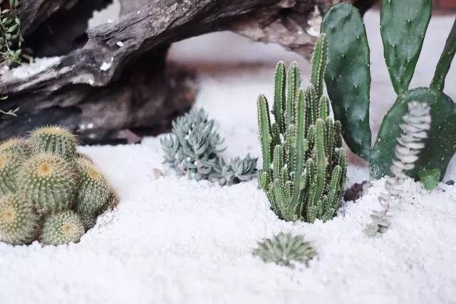 杭州一緒民宿，用鏡頭感受世間一切美好