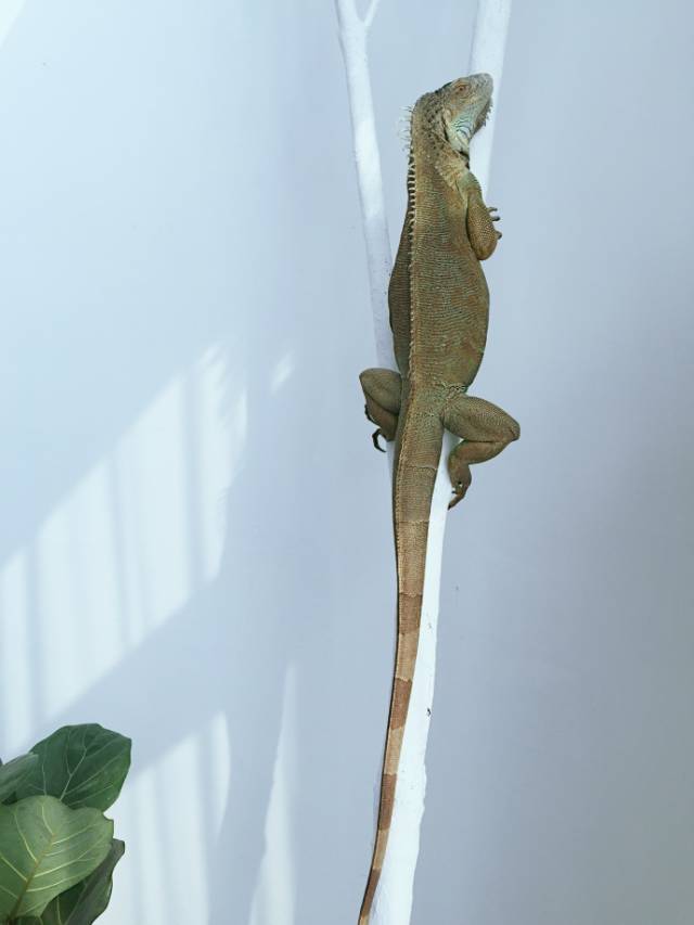 杭州一緒民宿，用鏡頭感受世間一切美好