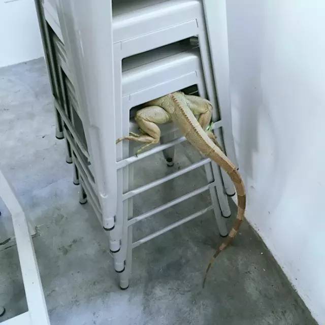 杭州一緒民宿，用鏡頭感受世間一切美好