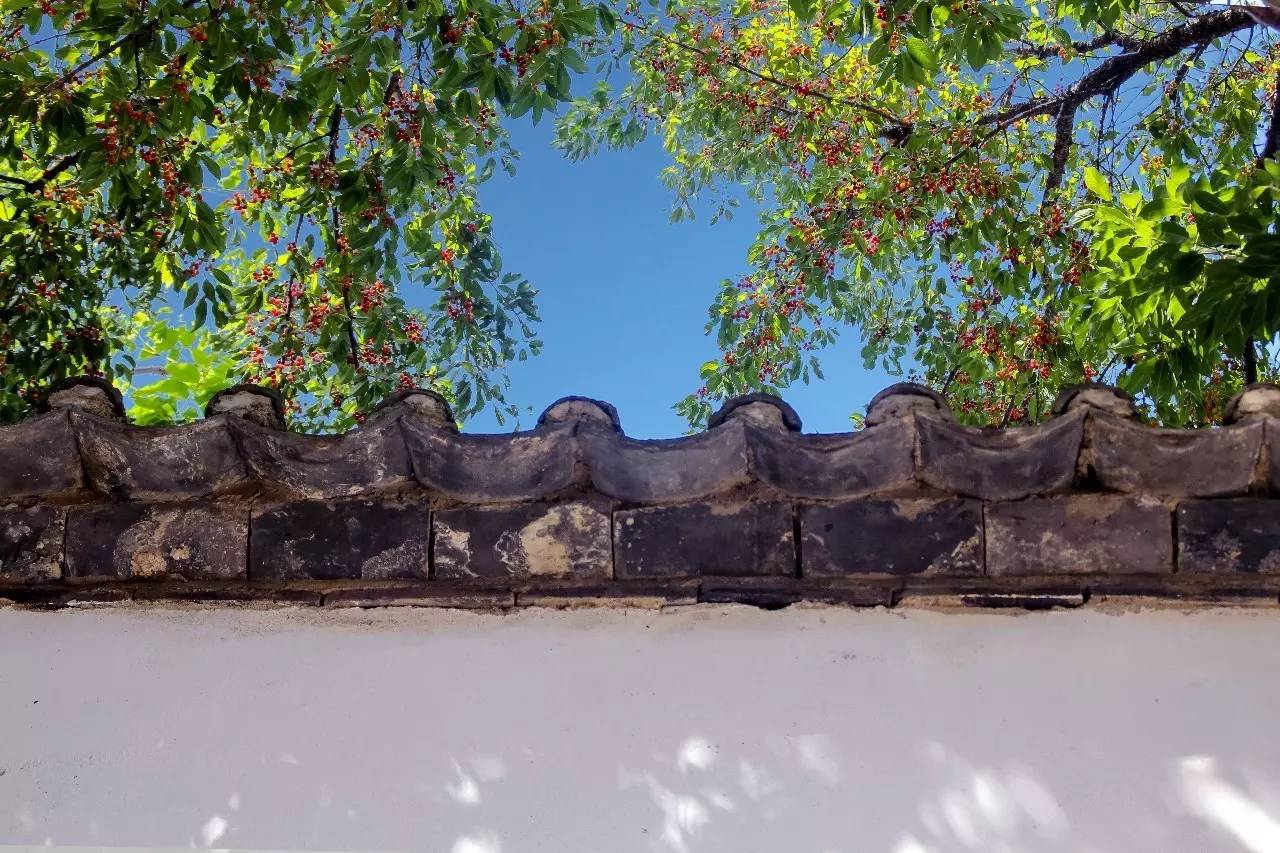 融居·銀箔泉，來銀箔泉邊喝茶看蒼山洱海