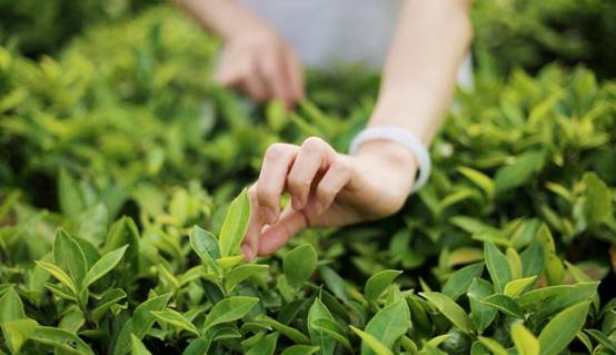 壹城一家，一座城一盞燈一個(gè)家在守候你