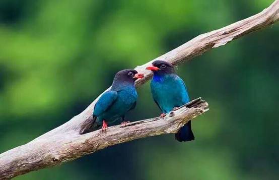 壹城一家，一座城一盞燈一個家在守候你