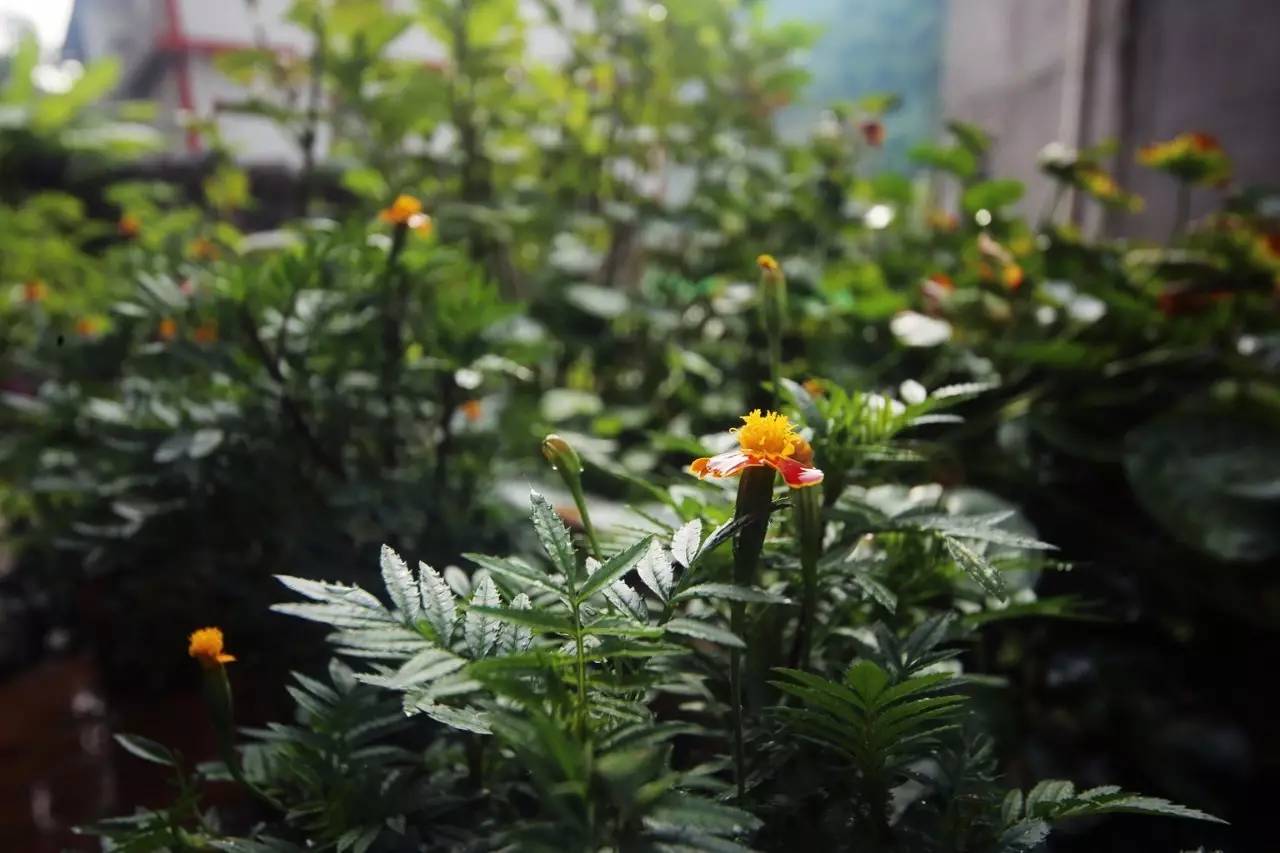 壹城一家，一座城一盞燈一個(gè)家在守候你