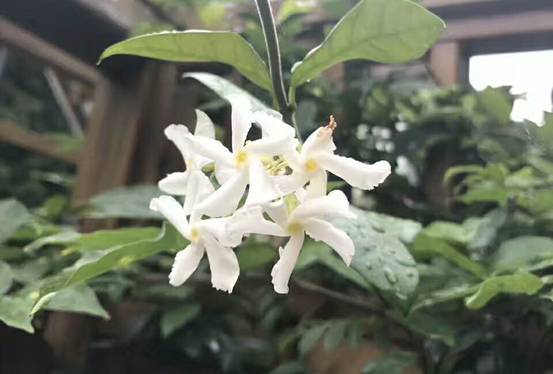 壹城一家，一座城一盞燈一個(gè)家在守候你