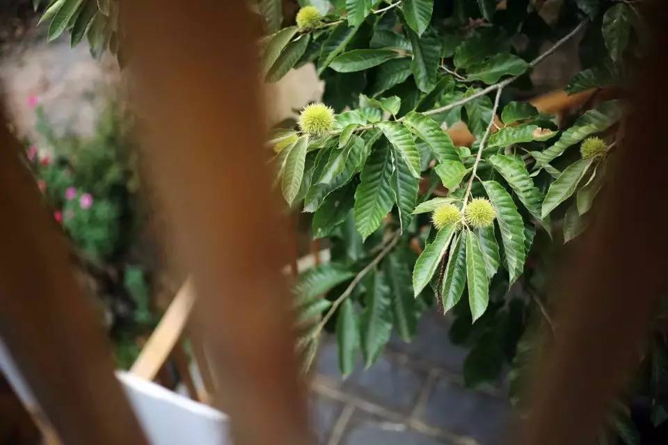 壹城一家，一座城一盞燈一個(gè)家在守候你