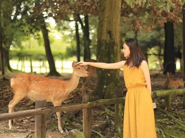 鳴林民宿，穿越千山萬水魂牽夢索的只有家鄉(xiāng)