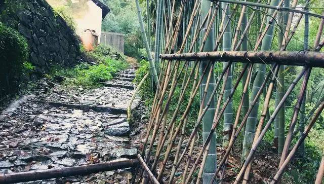 鳴林民宿，穿越千山萬(wàn)水魂?duì)繅?mèng)索的只有家鄉(xiāng)