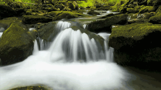 鳴林民宿，穿越千山萬水魂牽夢索的只有家鄉(xiāng)