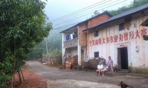 桐廬山中傳奇艾弗德堡藝社，打造一個藝術(shù)村落