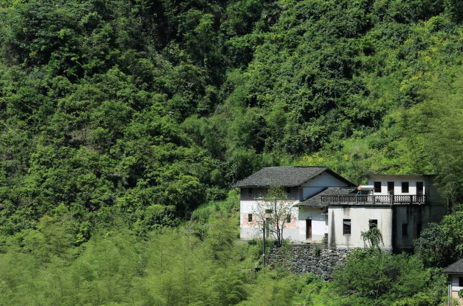 黃山云上民宿，看云卷云舒留住淳樸田園生活