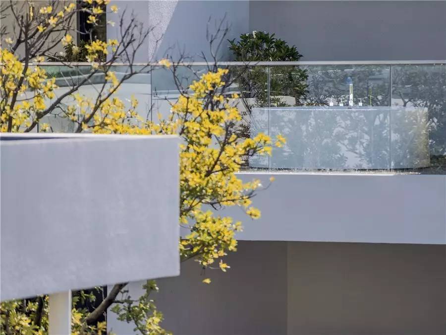 雪山莊園，只是天堂下降了一點(diǎn)點(diǎn)