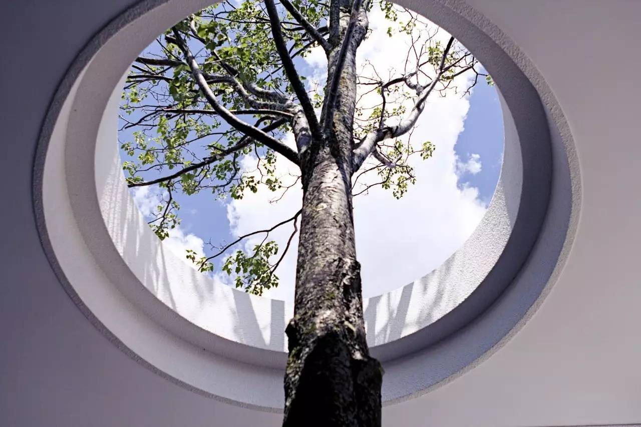 雪山莊園，只是天堂下降了一點(diǎn)點(diǎn)