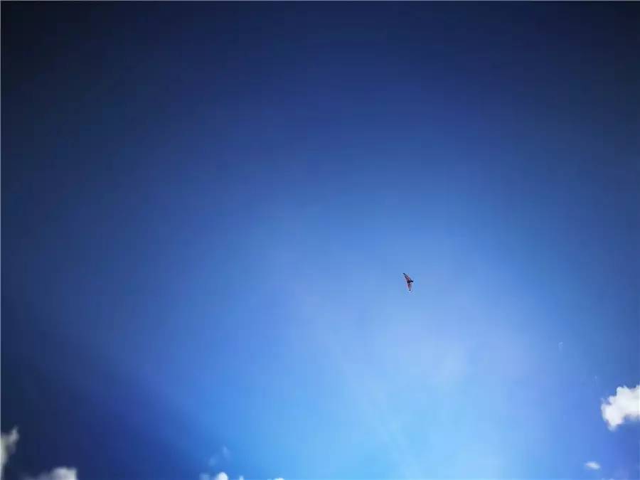 雪山莊園，只是天堂下降了一點(diǎn)點(diǎn)