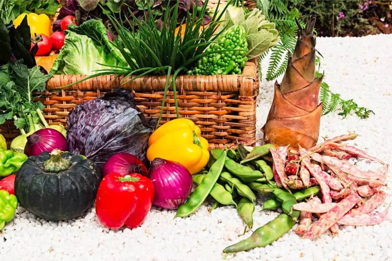 雪山莊園，只是天堂下降了一點(diǎn)點(diǎn)